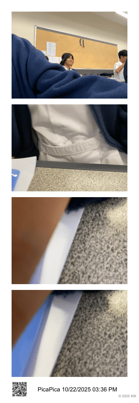Photo strip